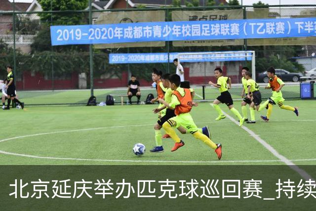 北京延庆举办匹克球巡回赛 持续擦亮户外运动城市名片